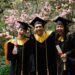 Three graduates celebrate outdoors with diplomas under flowering trees.