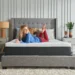 Wayfair Sealy mattress deal