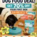 Ollie Dog Food Deal
